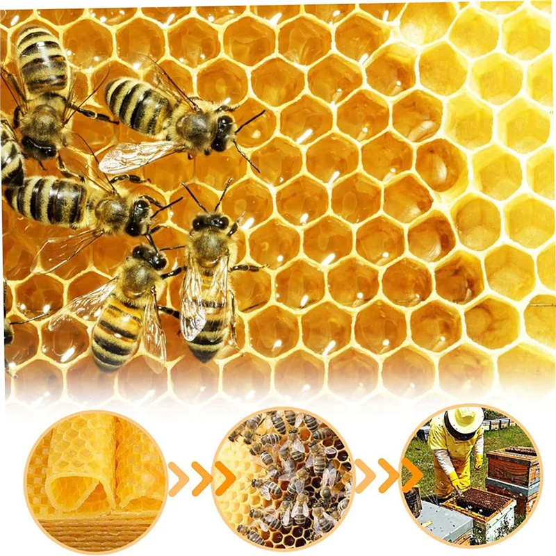 ABKW-Beeswax Sheets 60Pcs Beeswax Foundation Sheets Wax Foundation For Bee Frames Natural Honeycomb Sheets Beeswax Sheets